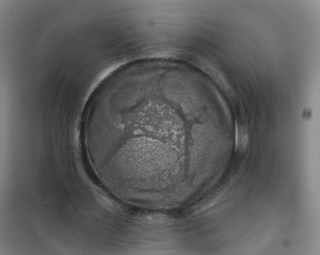 X0000101090483200807101552