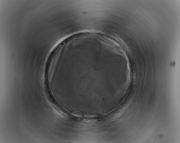 X0000101090484200807101552