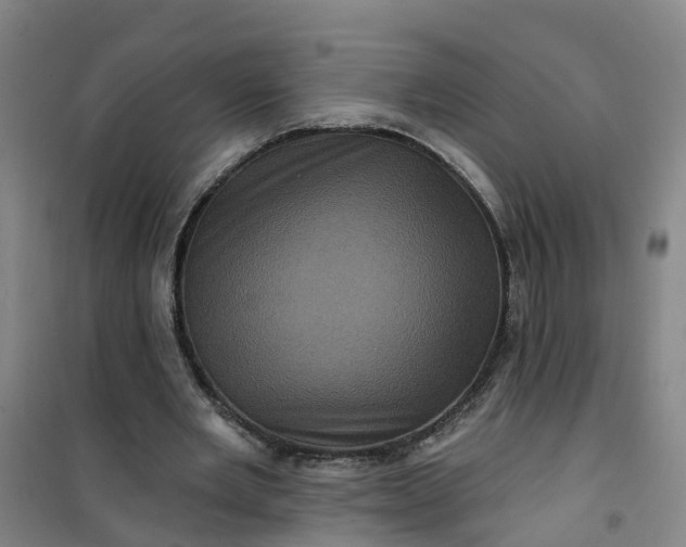 X0000101090485200807101552