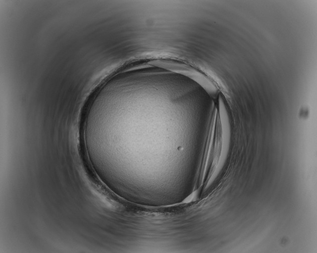 X0000101090486200807101552