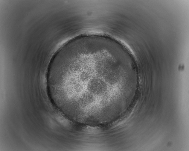 X0000101090487200807101552