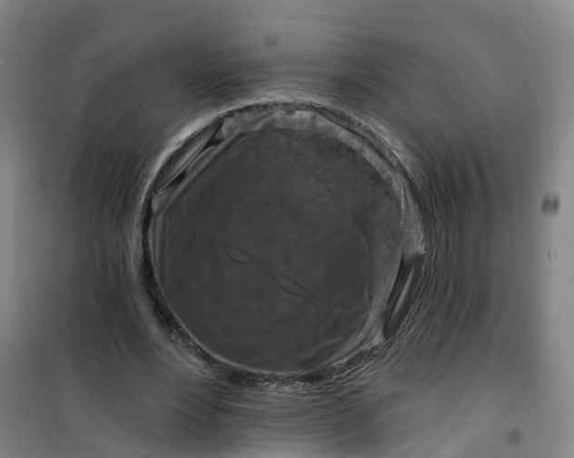 X0000101090488200807101552