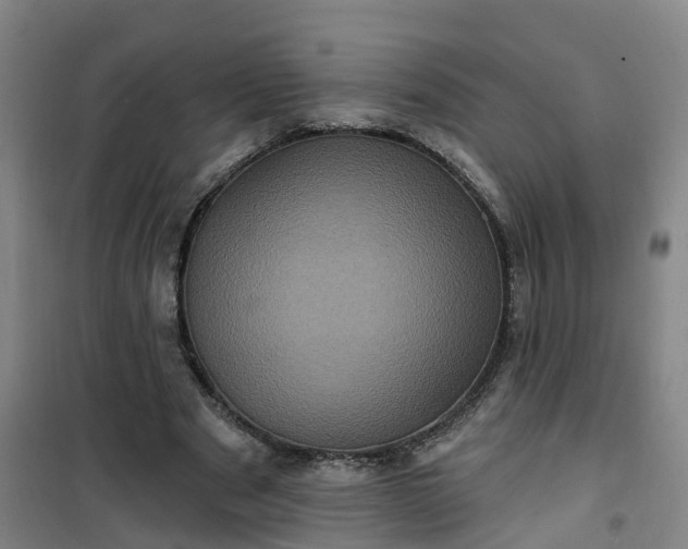 X0000101090489200807101552