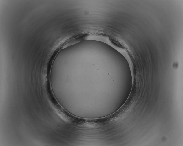 X0000101090490200807101552