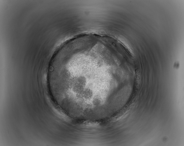 X0000101090491200807101552