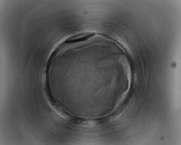 X0000101090492200807101552