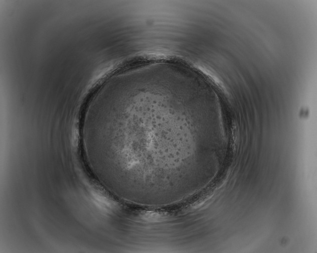 X0000101090494200807101552