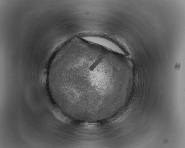 X0000101090495200807101552