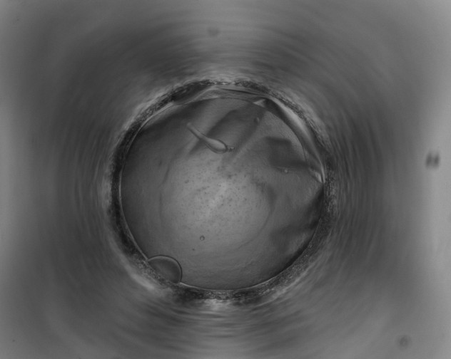 X0000101090496200807101552