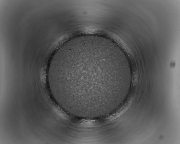 X0000101090497200807101552