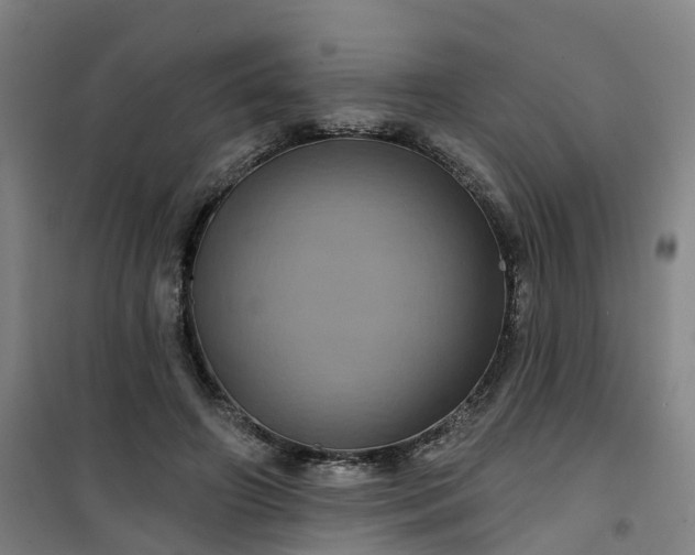 X0000101090498200807101552