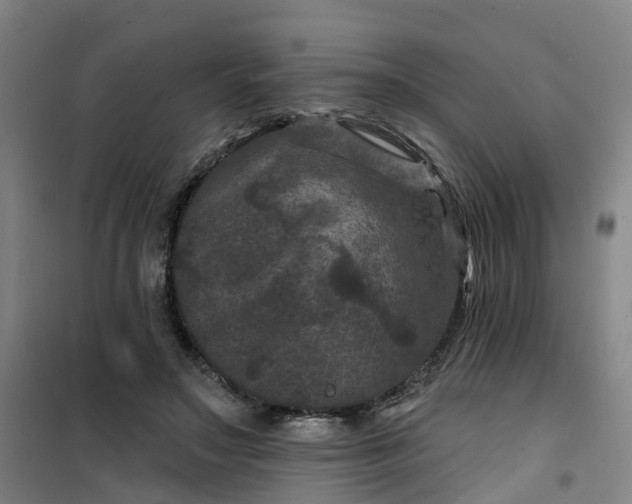 X0000101090499200807101552