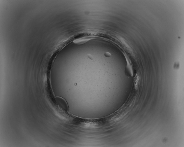 X0000101090500200807101552