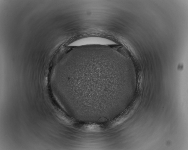 X0000101090501200807101552