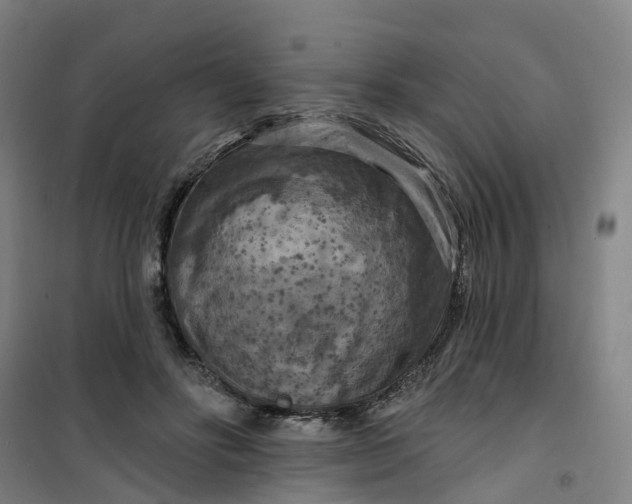 X0000101090502200807101552