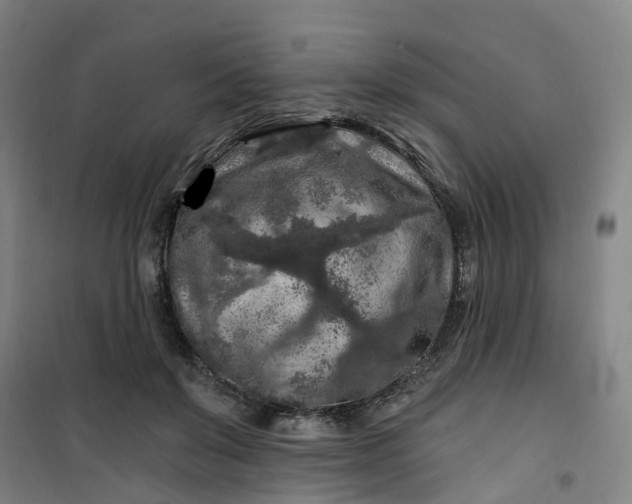 X0000101090503200807101552