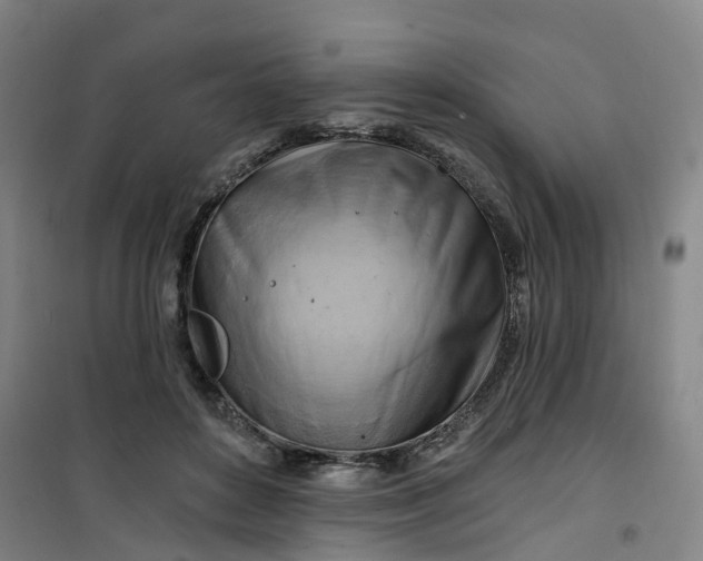 X0000101090504200807101552