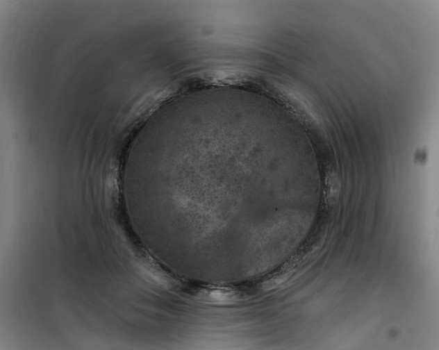 X0000101090506200807101552