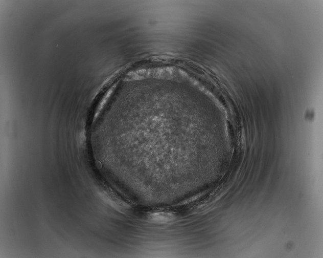 X0000101090508200807101552