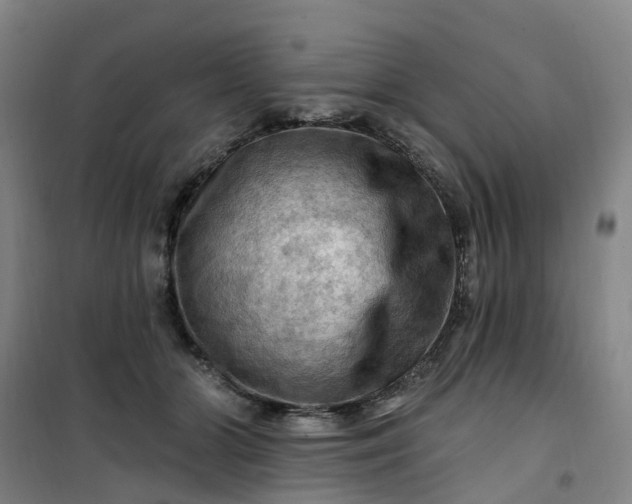 X0000101090510200807101551