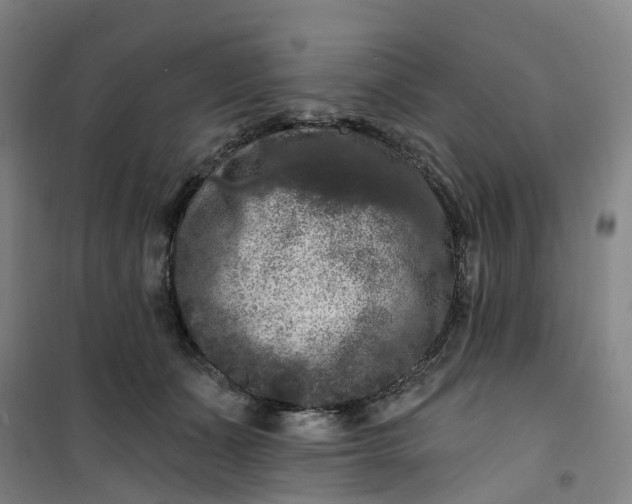 X0000101090511200807101551