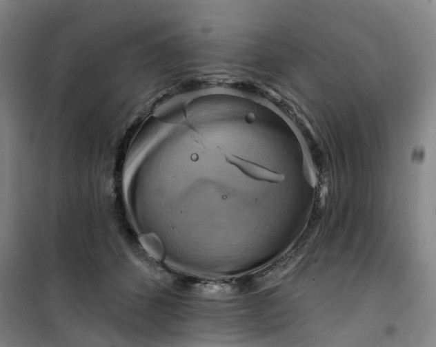 X0000101090512200807101551