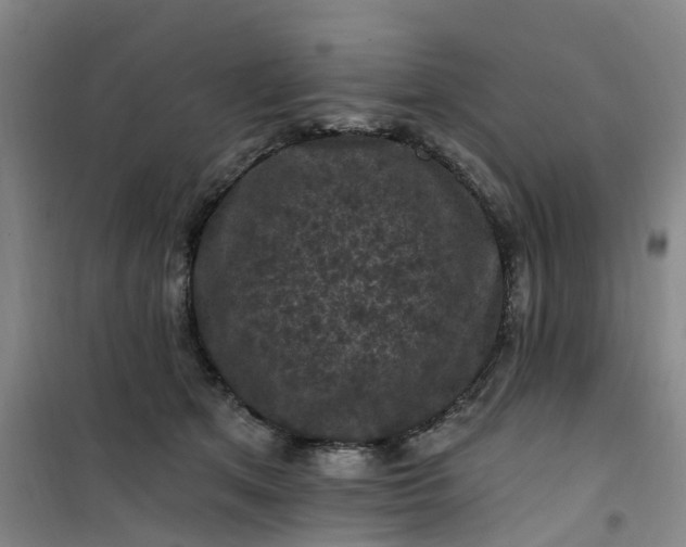 X0000101090513200807101551