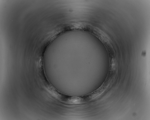 X0000101090514200807101551