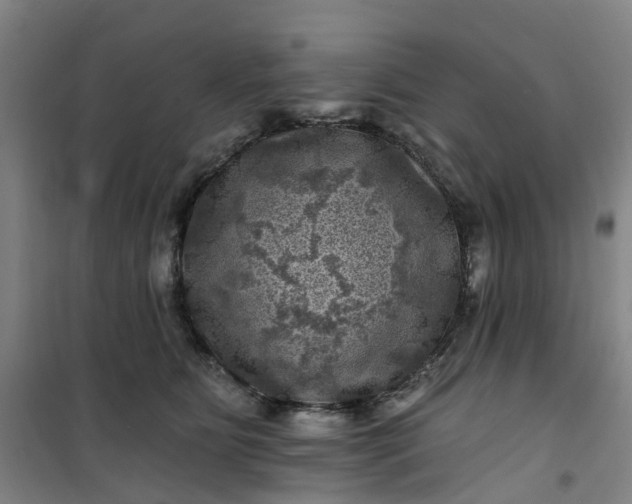 X0000101090515200807101551