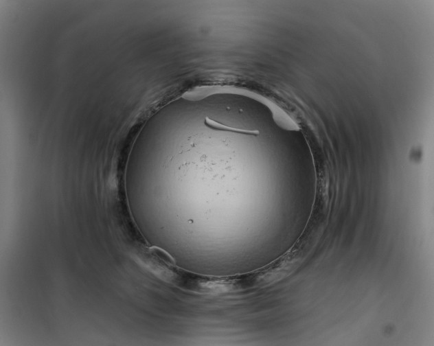 X0000101090516200807101551