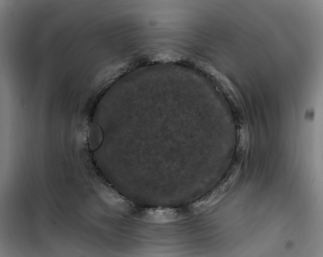 X0000101090517200807101551