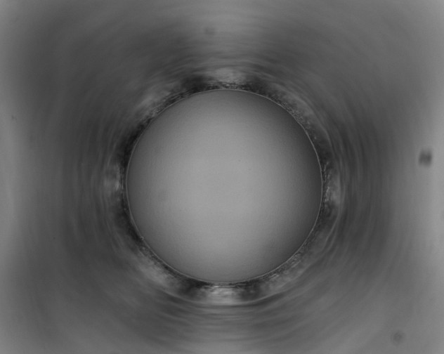 X0000101090518200807101551