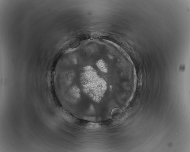 X0000101090519200807101551