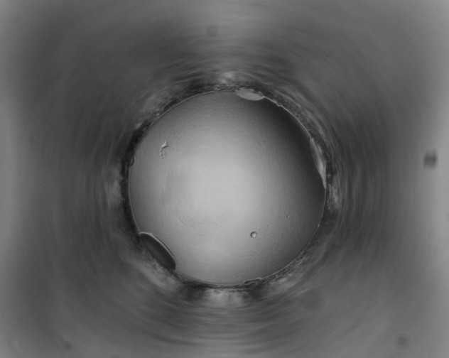 X0000101090520200807101551