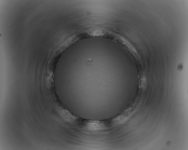 X0000101090521200807101551