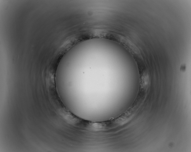 X0000101090522200807101551