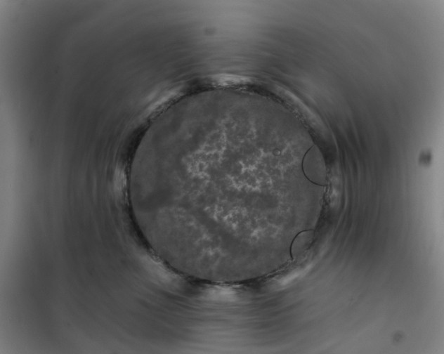 X0000101090523200807101551