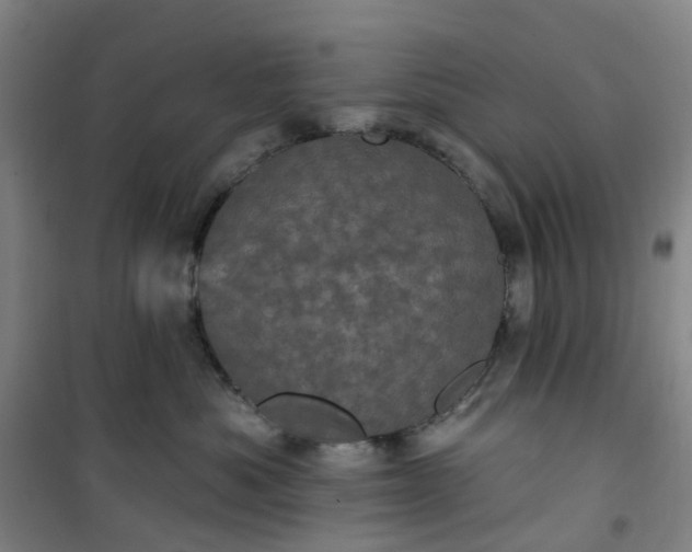 X0000101090525200807101551