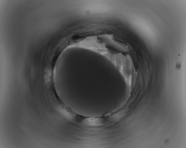 X0000101090526200807101551