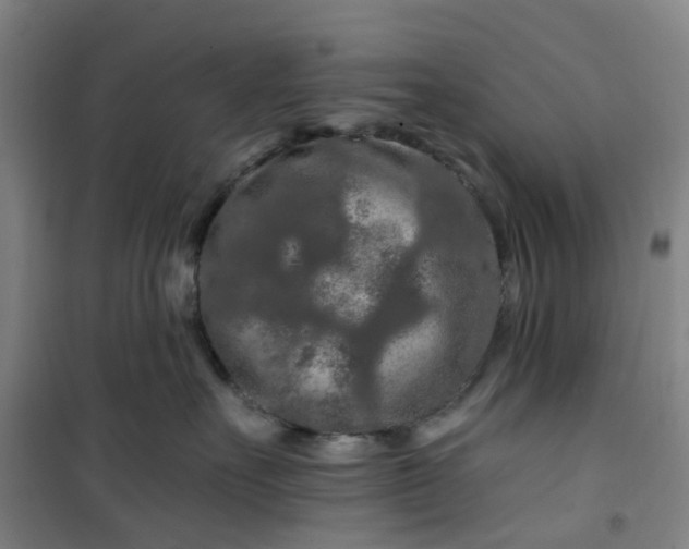 X0000101090527200807101551