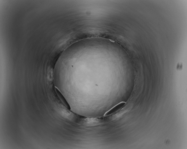 X0000101090528200807101551