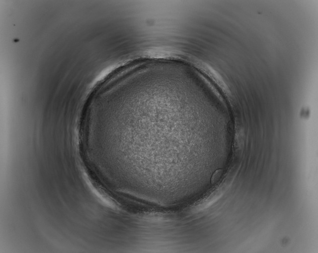 X0000101090530200807101550