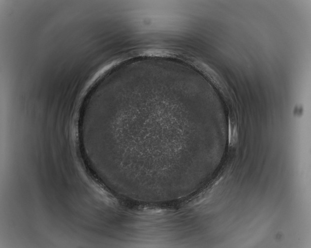 X0000101090531200807101551