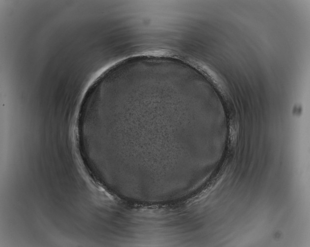 X0000101090532200807101551