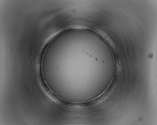 X0000101090533200807101551