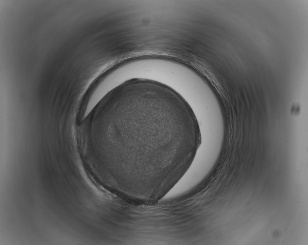 X0000101090534200807101551