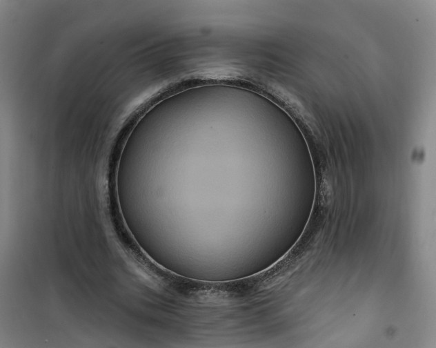 X0000101090535200807101551