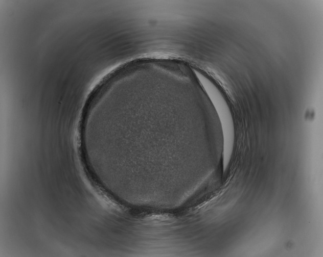 X0000101090536200807101551