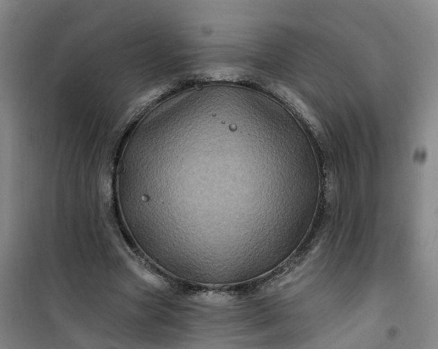 X0000101090537200807101551