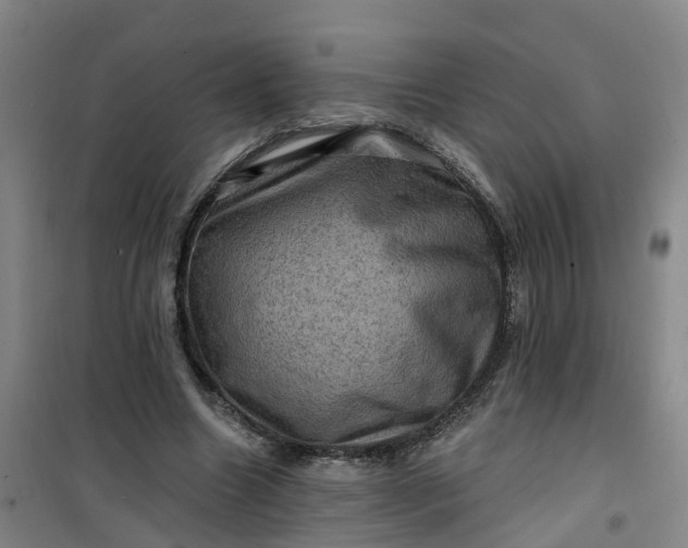 X0000101090538200807101551